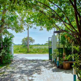 New Cormorant Lake Resort & Yala Safari Place