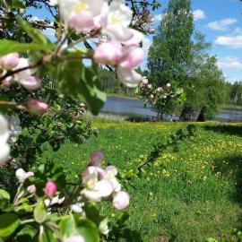 Līgatnes Zemturi, отель в городе Augšlīgatne