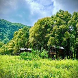 Kanopea Forest Lodge, hotell i Saint-Benoît