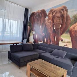 Safari, hotel in Lomé
