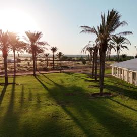 Flying Ostrich Guesthouse & Palmrest Farmstall, hotel in Mariental
