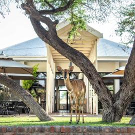 Otjibamba Lodge, hotel v destinácii Otjiwarongo