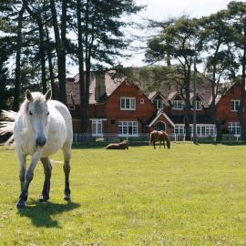 Beaulieu Hotel, hotel u gradu 'Lyndhurst'