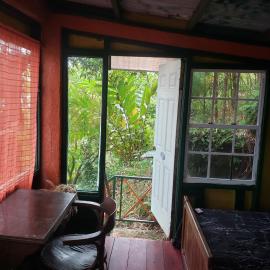 Blue Mountain Wilderness Retreat Jamaica House，安東尼奧港的飯店