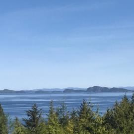Bear Cove Cottages, hotel in Port Hardy