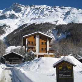 Hôtel Garni Les Bouquetins, hotel di Zinal