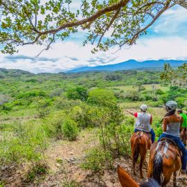 Vida Aventura Ranch, khách sạn ở Tanques