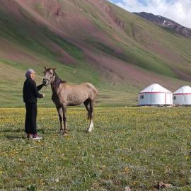 Sary-Mogul में, होटल Nice Yurt Camp