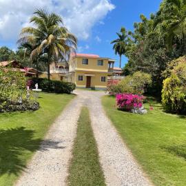 Little Shaw Park Guest House, hotel in Ocho Rios