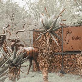 Thaba eNtle Private Boutique Game Farm, hotel in Thabazimbi