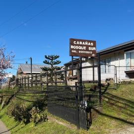 Cabañas Bosque Sur, hotell i Puerto Varas