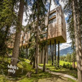 My Arbor - Dolomites