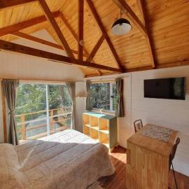Tiny House en el bosque，位于圣卡洛斯-德巴里洛切的酒店
