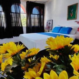 NUEVA ADM- Hotel Occidental, hotel in David