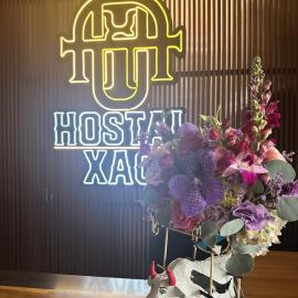 HOSTAL XAO, hotel en Oaxaca de Juárez