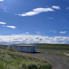 Stóra-Ásgeirsá Horse Farm Stay, hotel in Víðigerði
