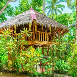 Water to Forest Ecolodge, hotell i Loboc
