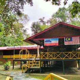 Borneo Jungle Adventure, hotel u gradu 'Kinabatangan'