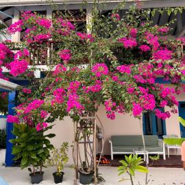 Kendhoo holidays, hotel em Kendhoo