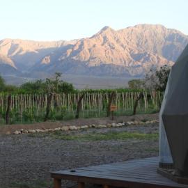 Desert Camp