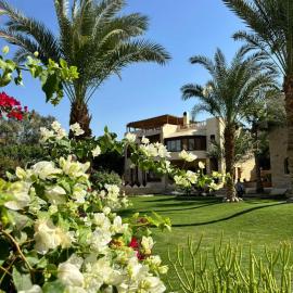 palm shadow resort, hotelli kohteessa Tunis