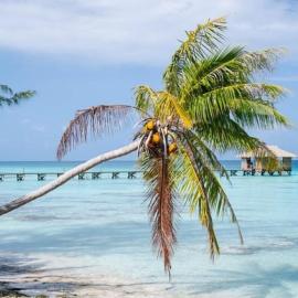 Sunset Hill Lodge, hotel em Bora Bora