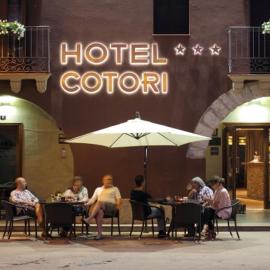 Hotel Cotori – hotel w mieście El Pont de Suert