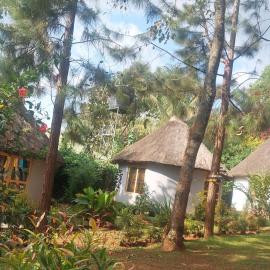 BN Private Beach & Resort - Jinja、ジンジャのホテル