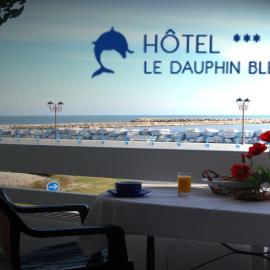 Hôtel Le Dauphin Bleu