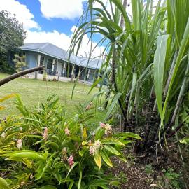 Anas place Siusega, hotelli kohteessa Vaitele
