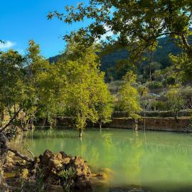 Riverside Jahliye, Chouf, hotel em Al Jāhilīyah