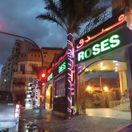 Hotel Ville Des Roses, hotel in Blida