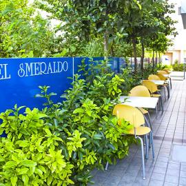 Hotel Smeraldo, ξενοδοχείο σε Tortoreto Lido