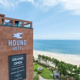 Hound Hotel Deacheon Beach โรงแรมในโพเรียง