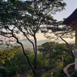 Musangano Lodge، فندق في Odzi