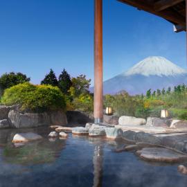 Hakone में, होटल Hotel Green Plaza Hakone