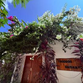 Thoddoo Haisha inn, Maldives, hotel din Thoddoo