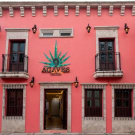 Nueve Agaves Hotel，位于特基拉的酒店