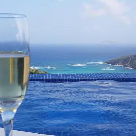 Caribbean Villa with pool and views, hotel u gradu Port Elizabeth