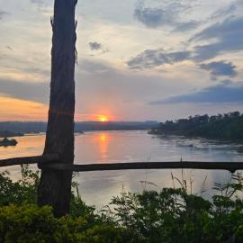 Nile river cottages, Hotel in Jinja