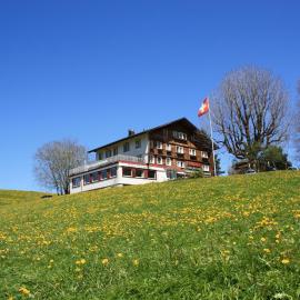 Hotel Frohe Aussicht, Hotel in Weissbad