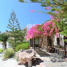 Asteri Hotel, hotel in Skala