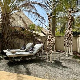 Agence Adjana Resort, hotel u gradu Sali Portudal