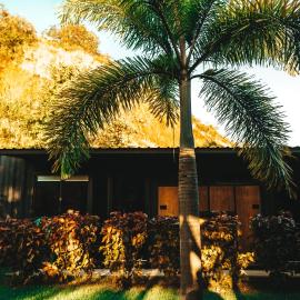Wao Jungle Venao – hotel w mieście Playa Venao