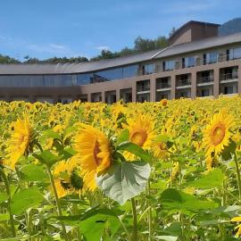 Furano Hotel 富良野ホテル, hotel em Furano
