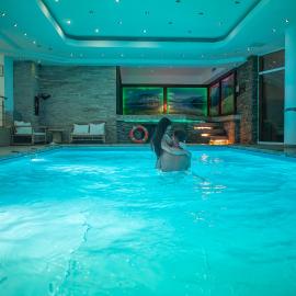 Hotel Carpathia, hotel en Sinaia