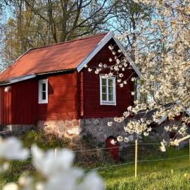 Drängstugan - Tiny House, готель у місті Johannesberg