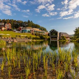 Pfalzblick Wald Spa Resort, hotel a Dahn