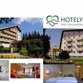 Srní में, होटल Hotel Srní a Depandance