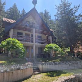 Vila Borovi, hotel u gradu 'Zaovine'